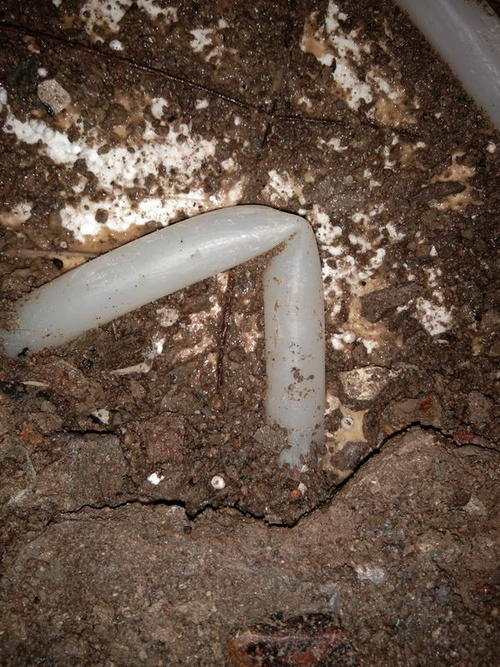 延川堵点精准查找